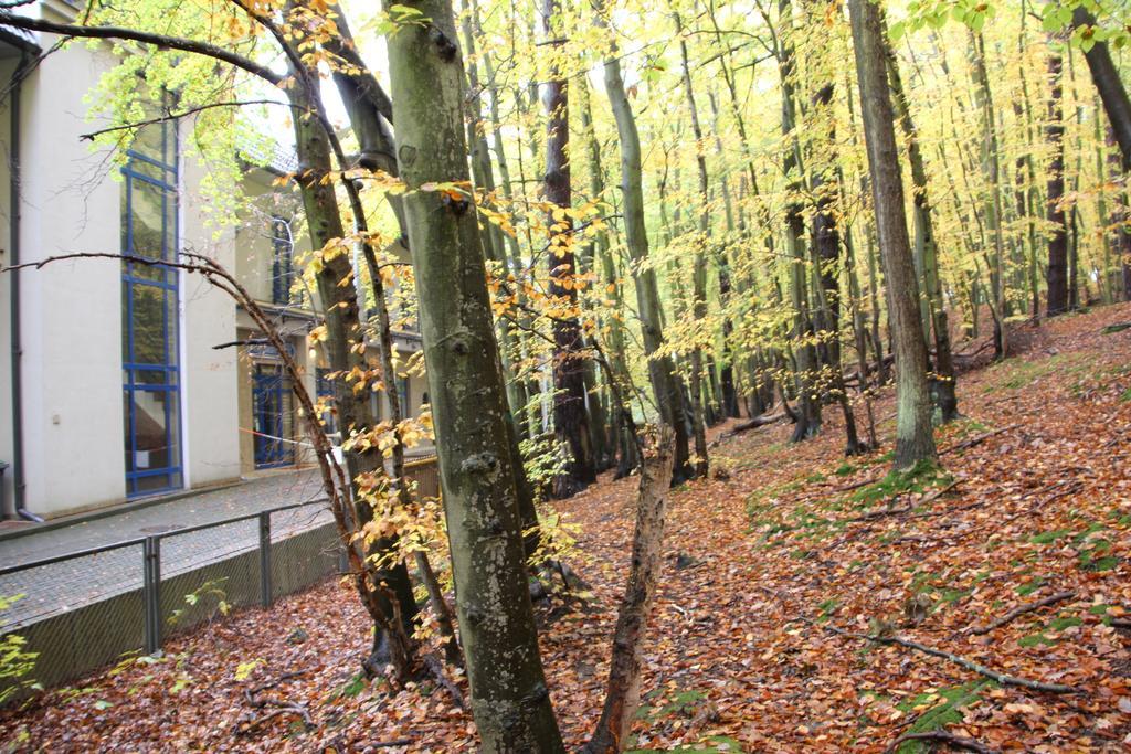 Hotel Lesny Sopot Exteriör bild